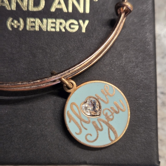 Alex and Ani Rose Gold 'I Love You' Charm Bracelet - Picture 2 of 4